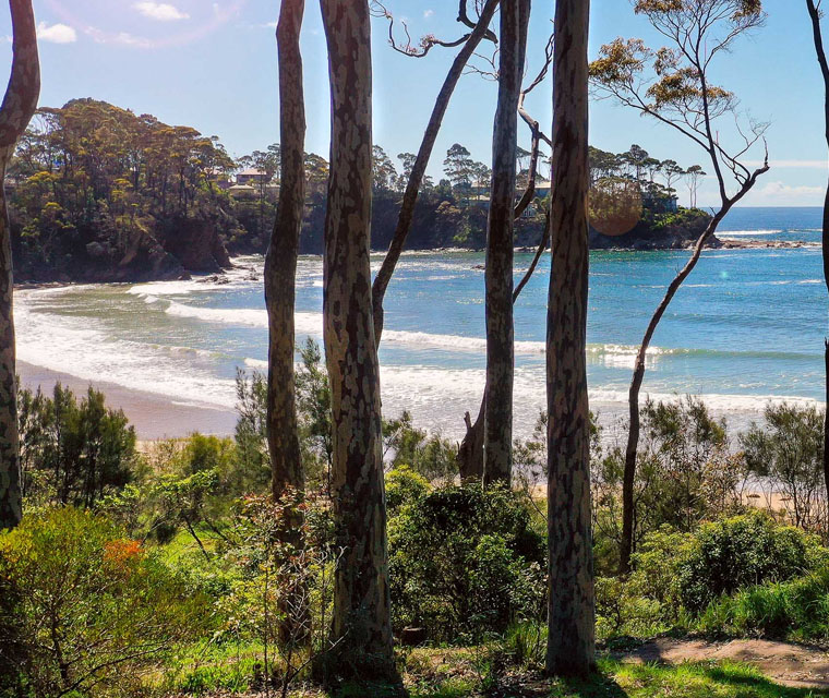 Northern Beaches Careers