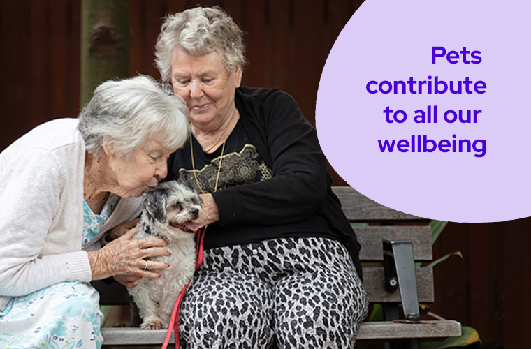 Pets aged care