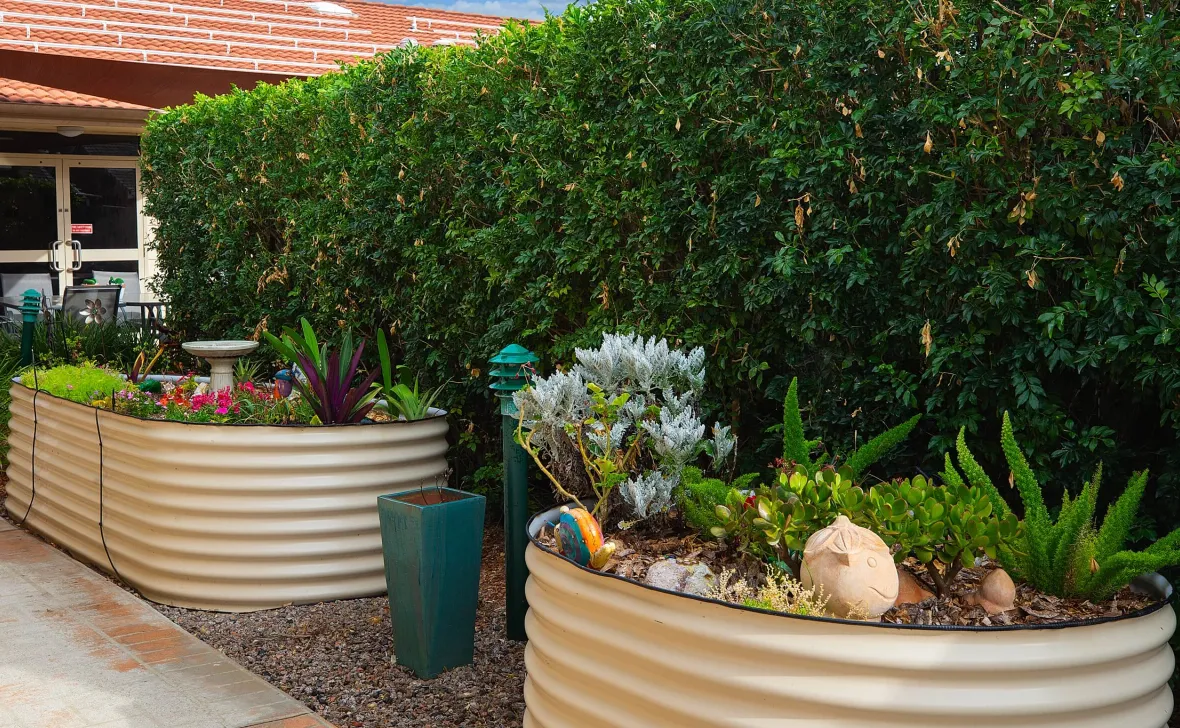 Morayfield Grove