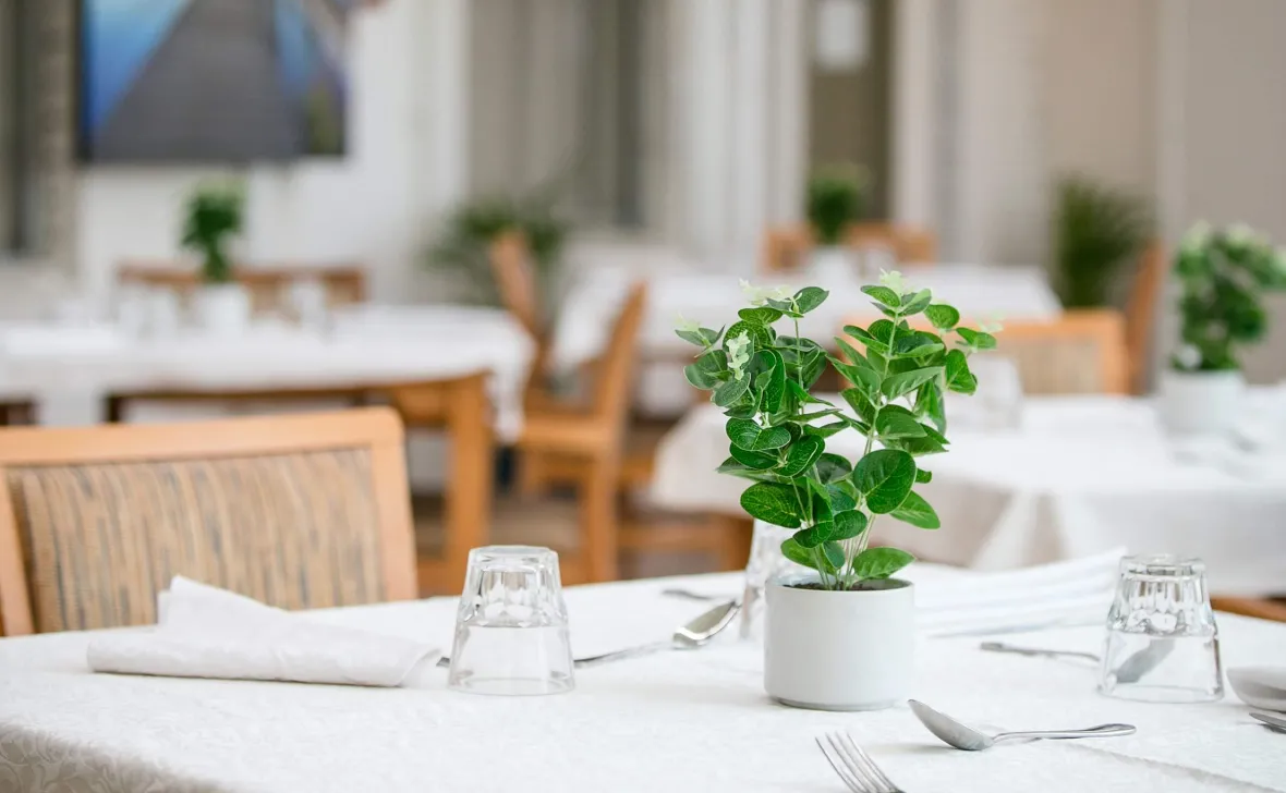 Mona Vale View dining