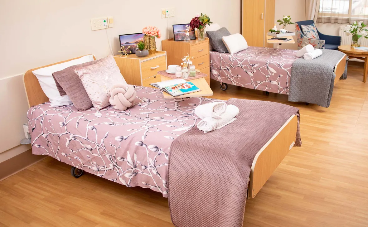 Companion Room