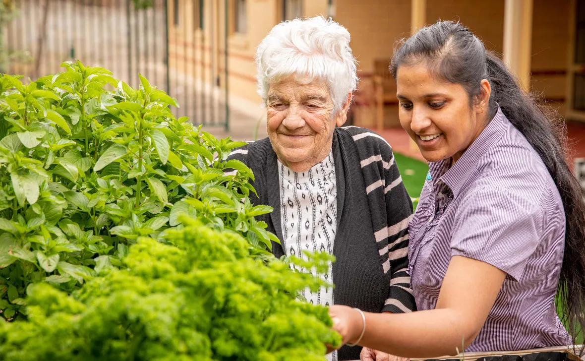 Herb Garden