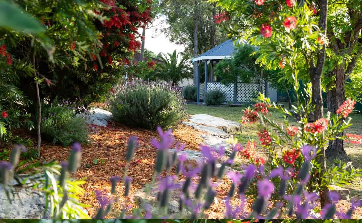Shoalhaven Place gardens