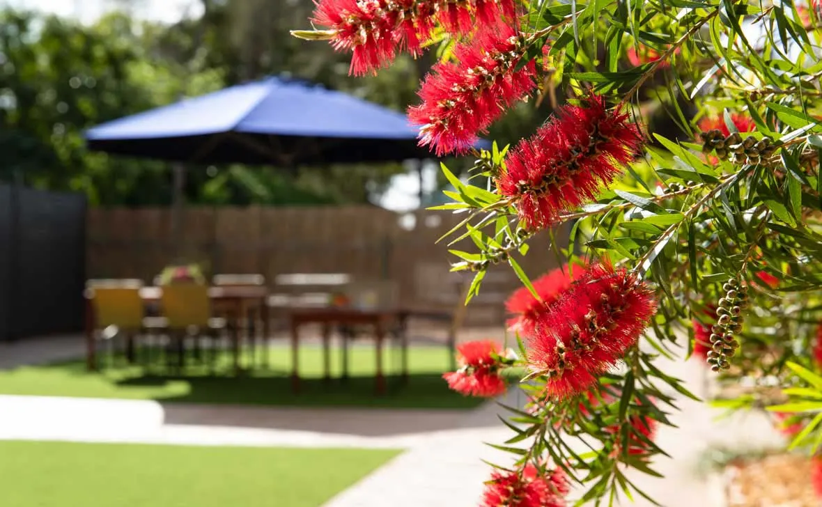 Shoalhaven Place gardens