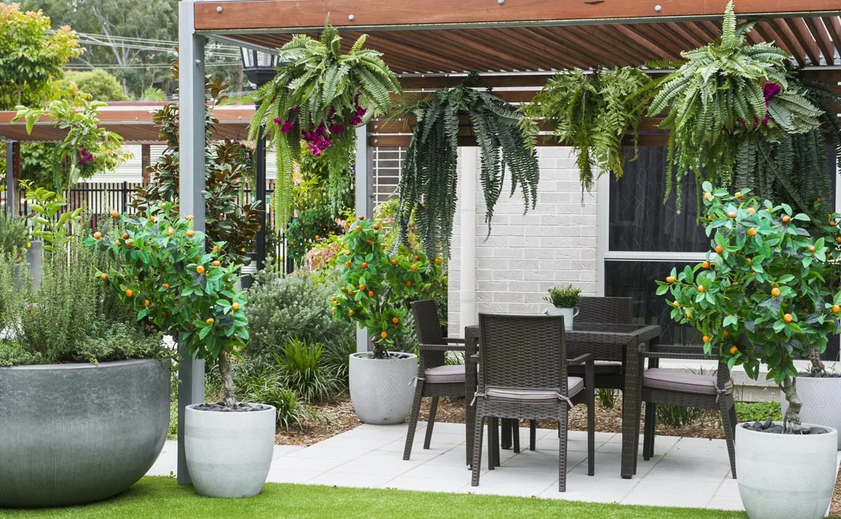 aged care Springwood