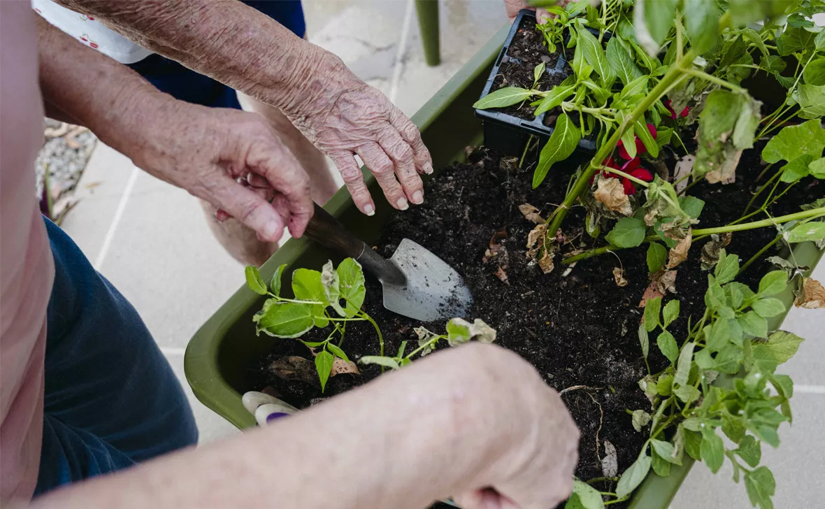 Caboolture Parklands