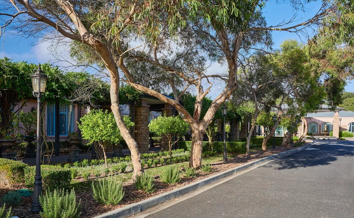 Phillip Island Grove