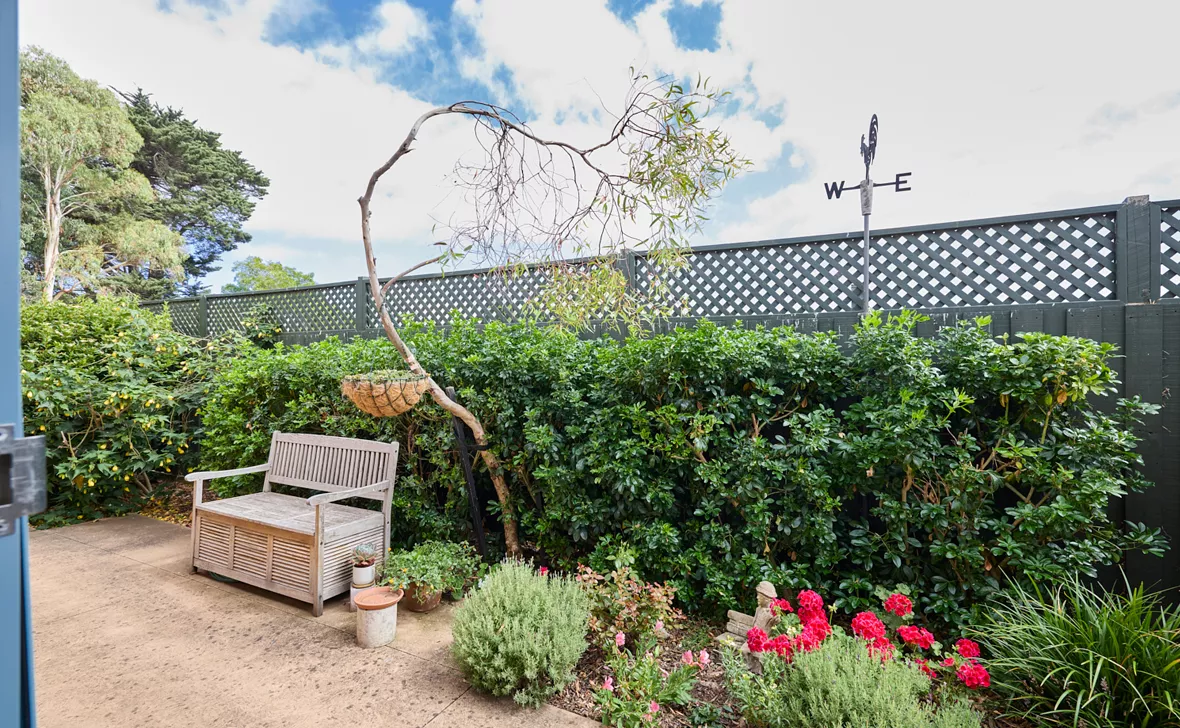 Phillip Island Grove