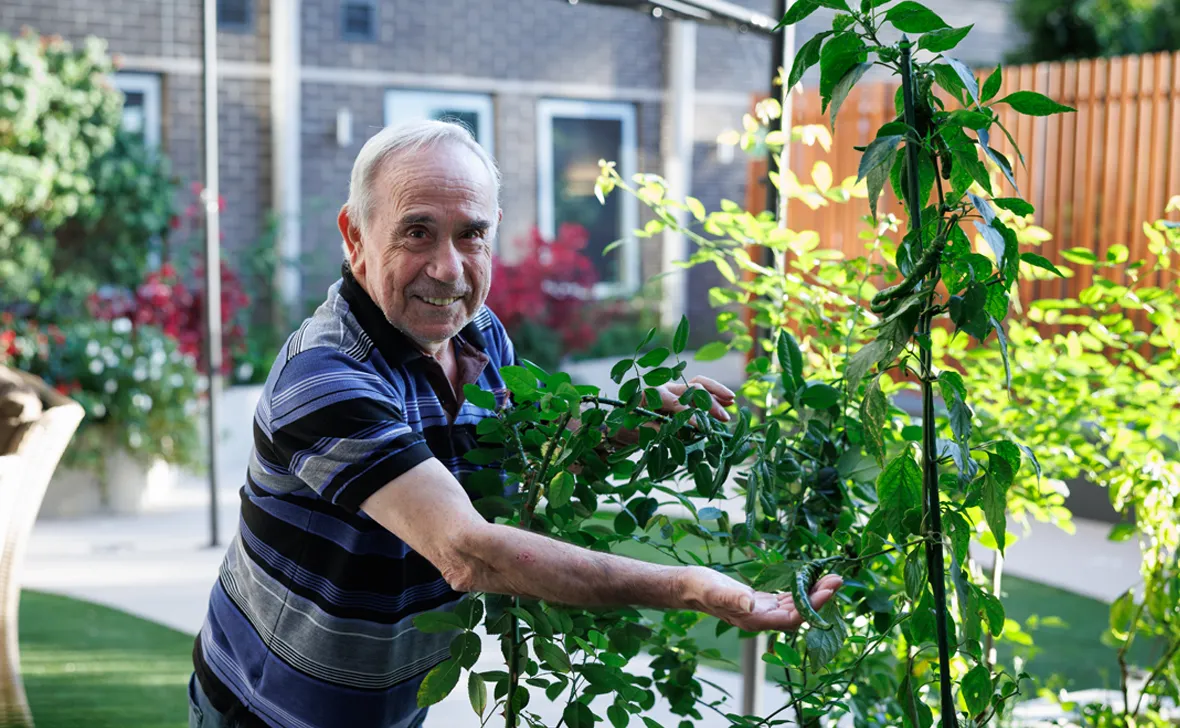 bankstown nursing home