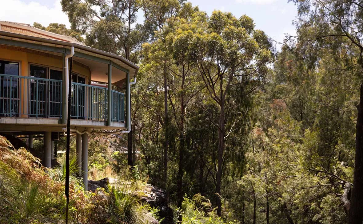 Bayview Treetops