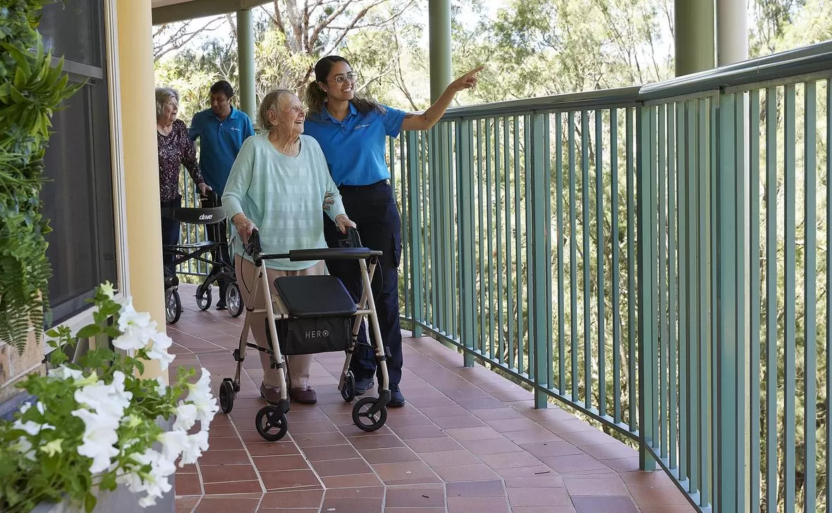 Bayview Treetops