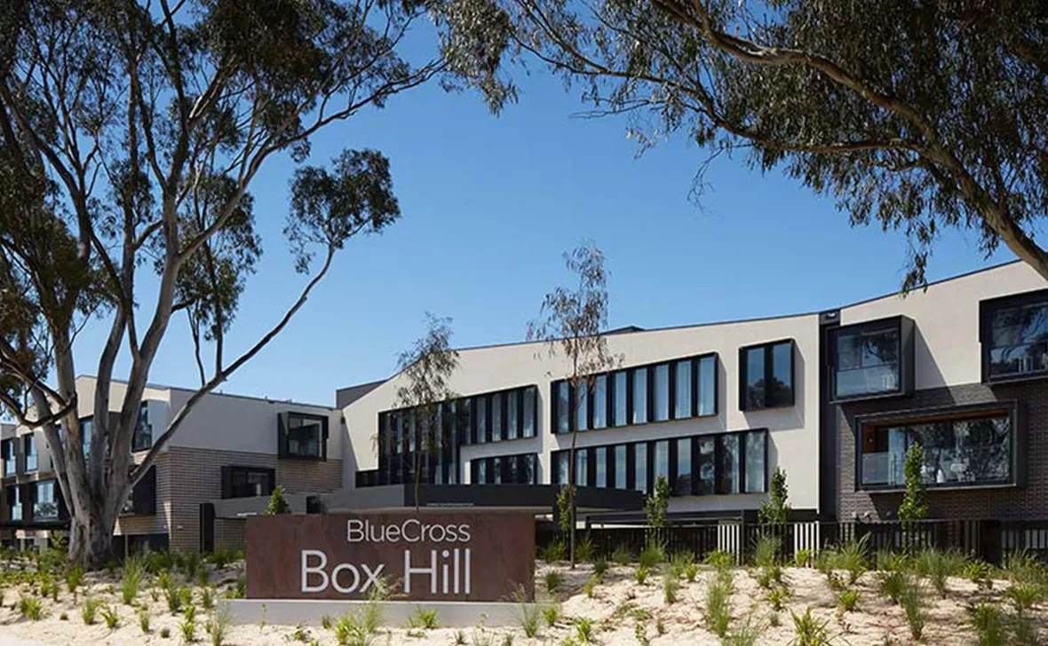 Box Hill Views