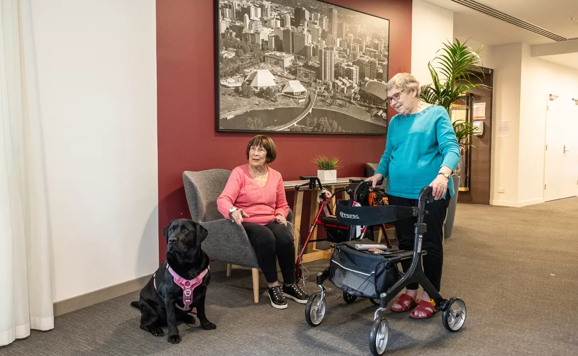 adelaide nursing home