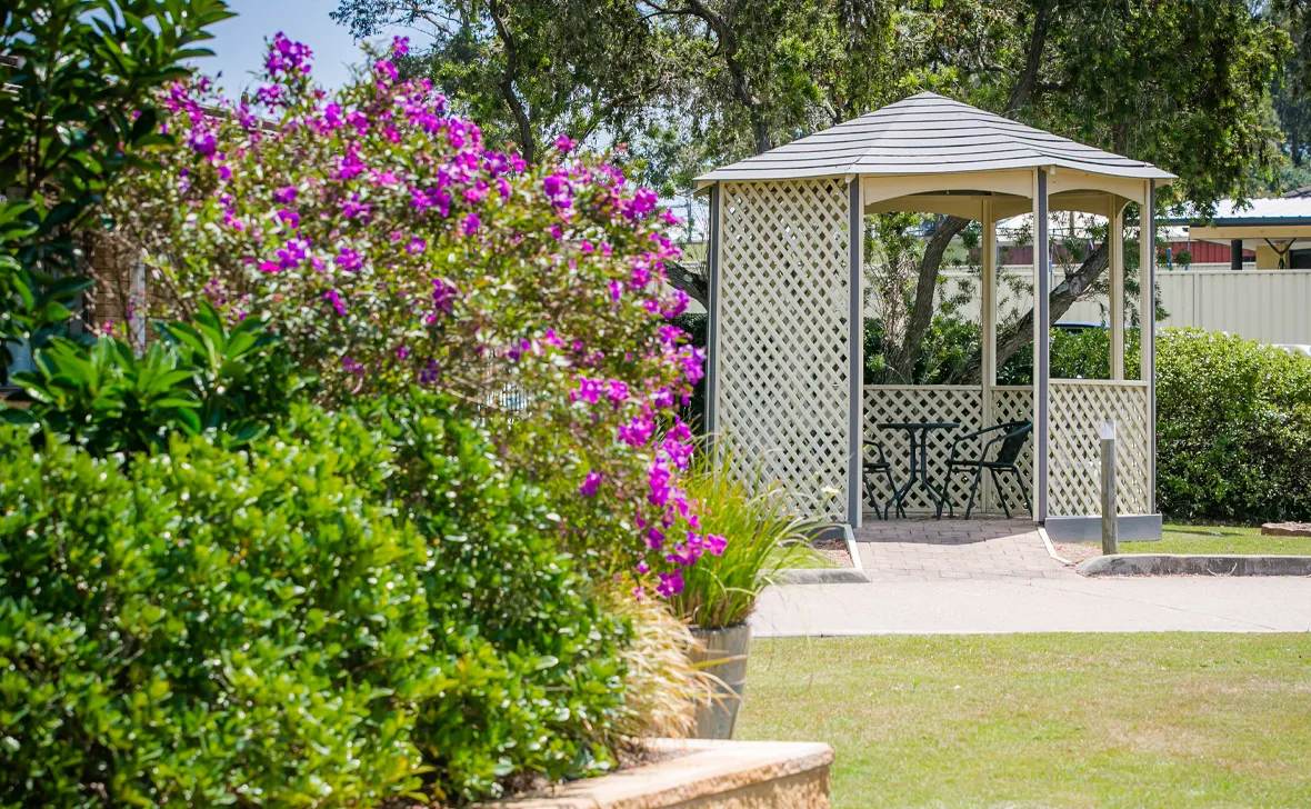 maitland aged care