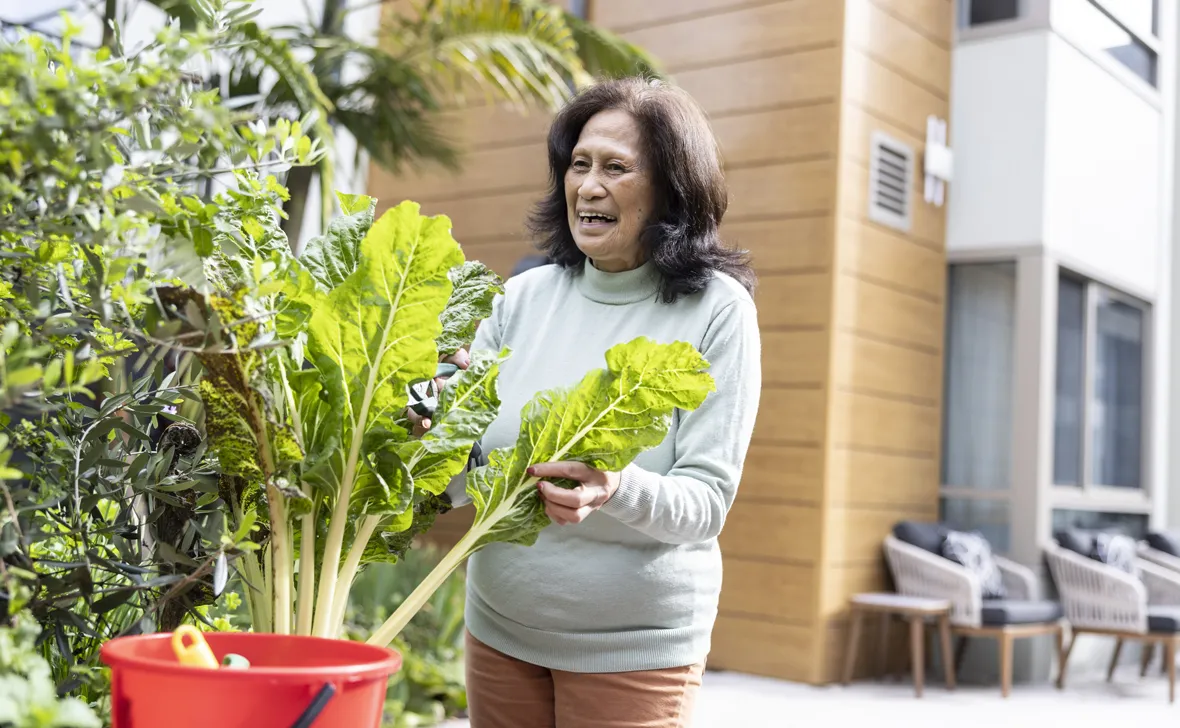 aged care meadowbank