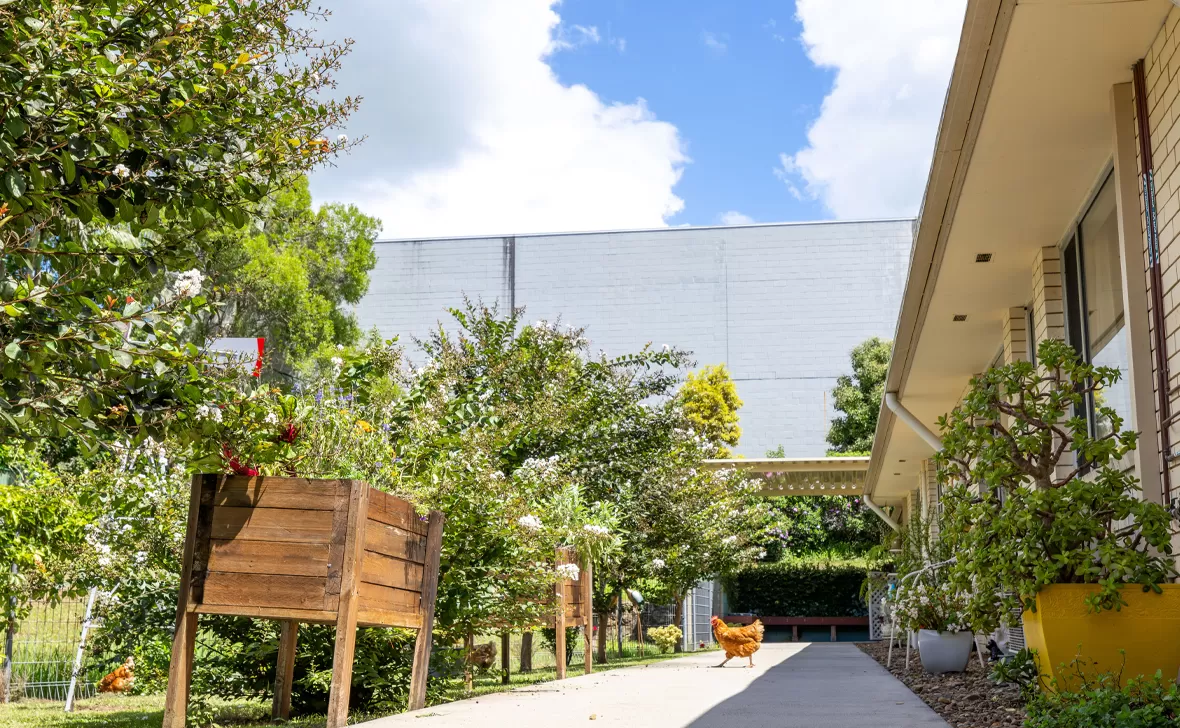 Nambour aged care