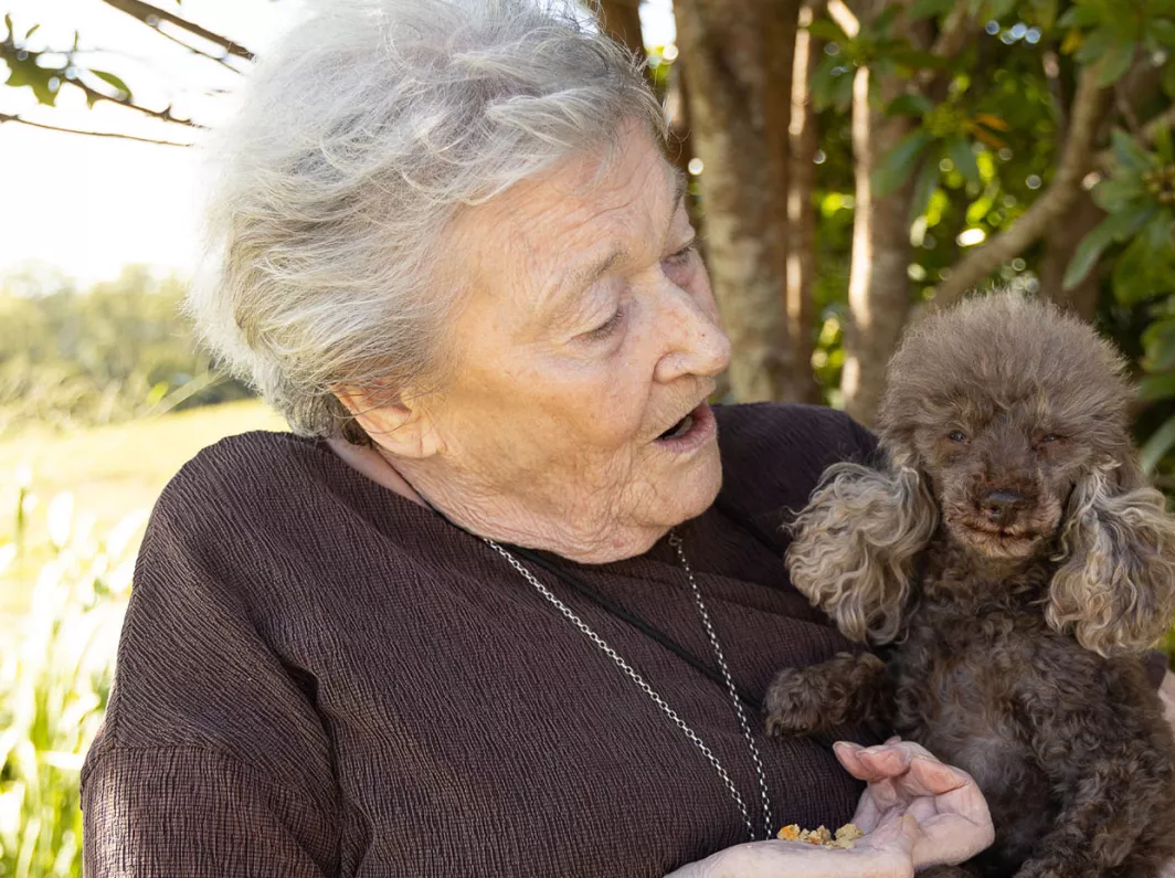 pets aged care