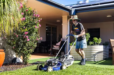 The lawnmower man