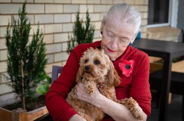 Pet Therapy