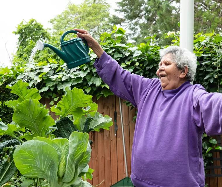 understanding aged care
