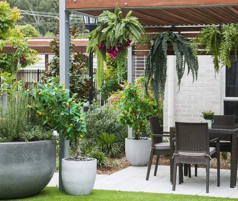 Springwood Terrace