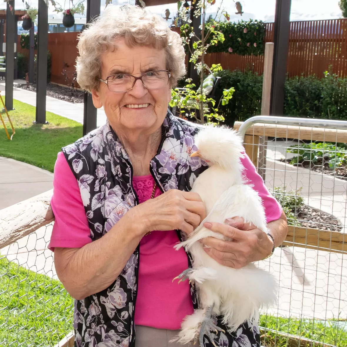 Pets aged care