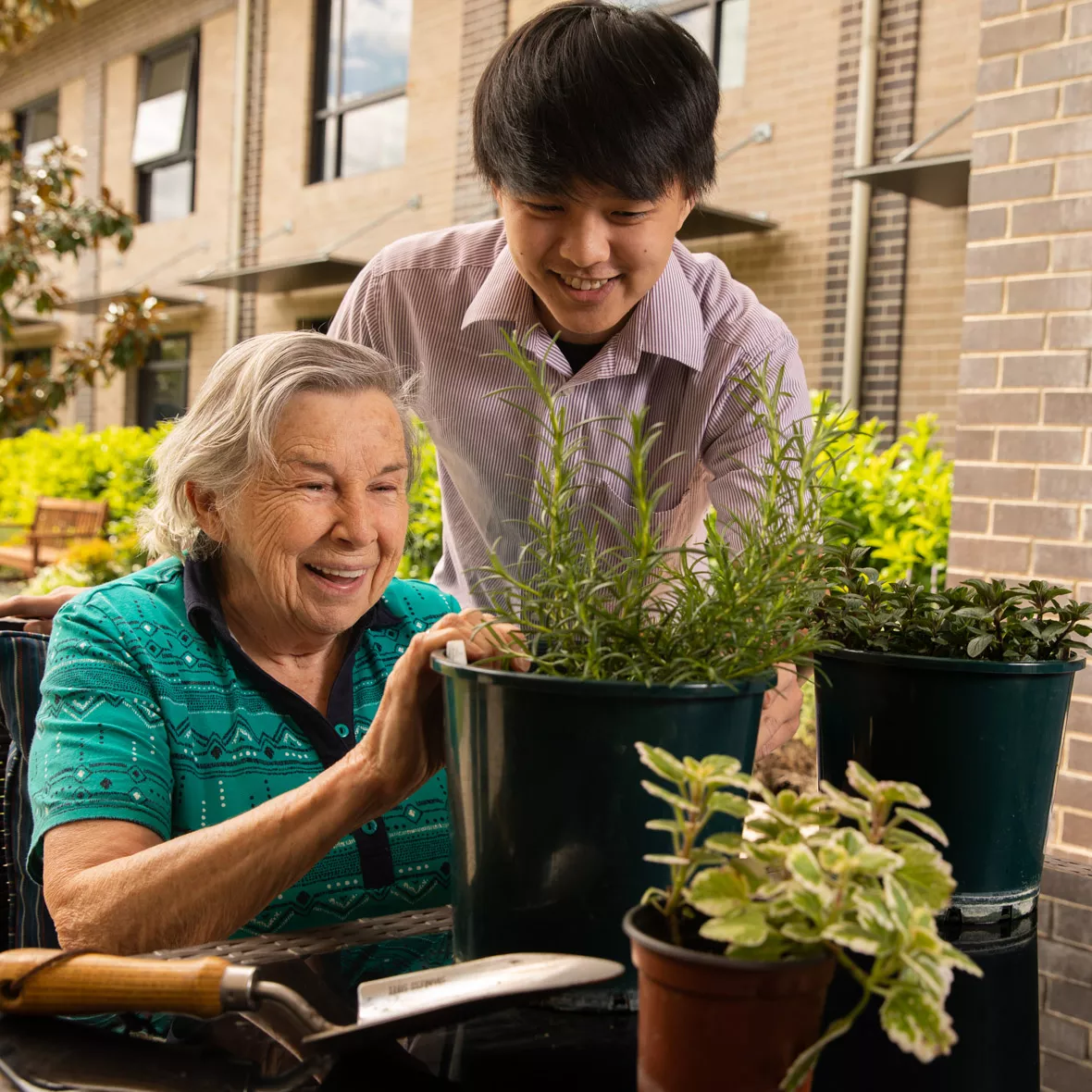 choosing aged care