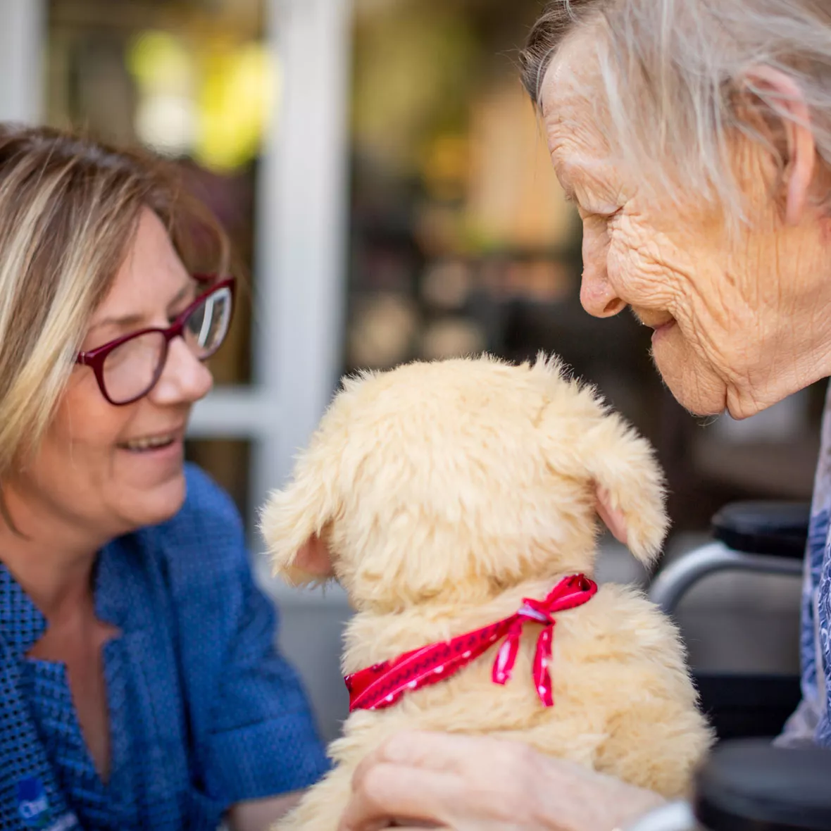 What is Palliative Care