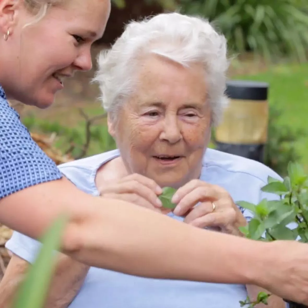 What is Palliative Care