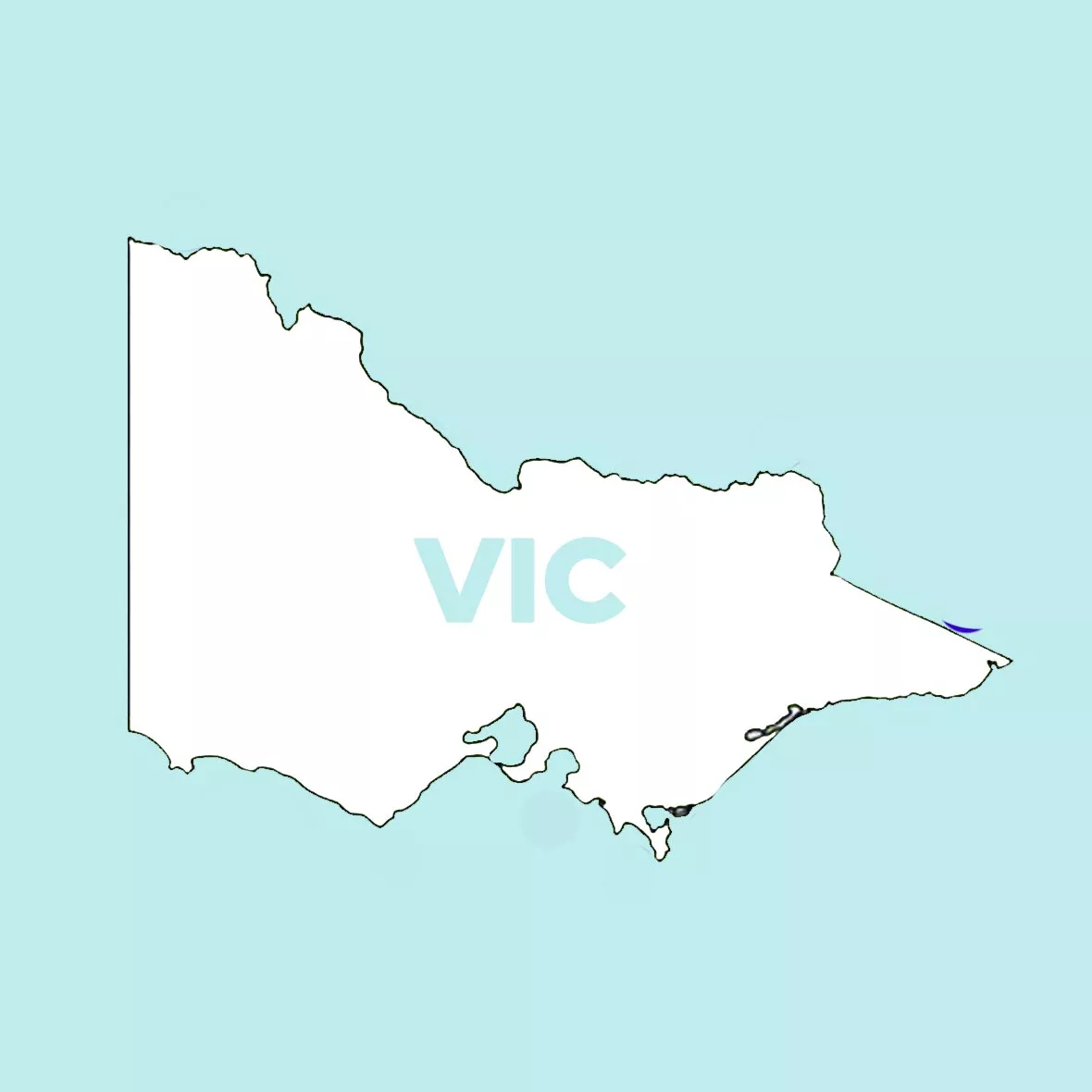 Substitute Decision-Making