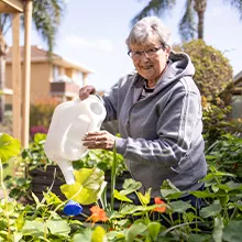 Gardening