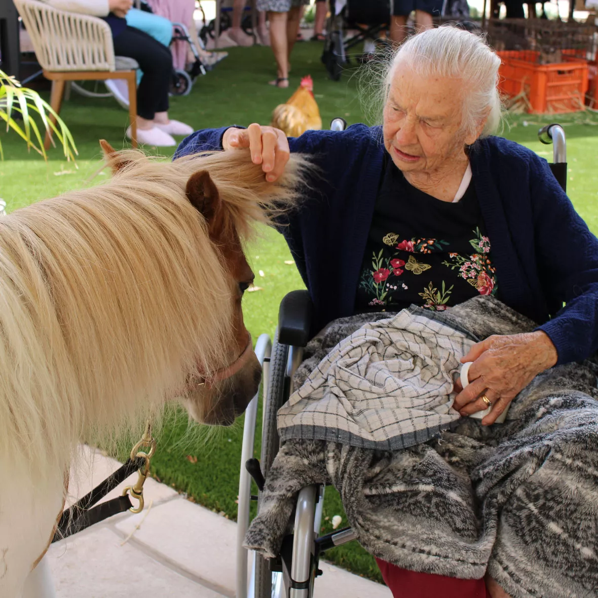 Pets aged care