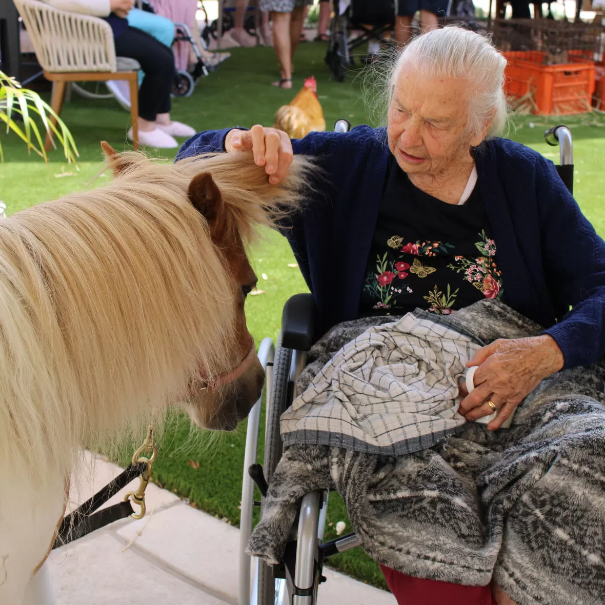 Pets aged care