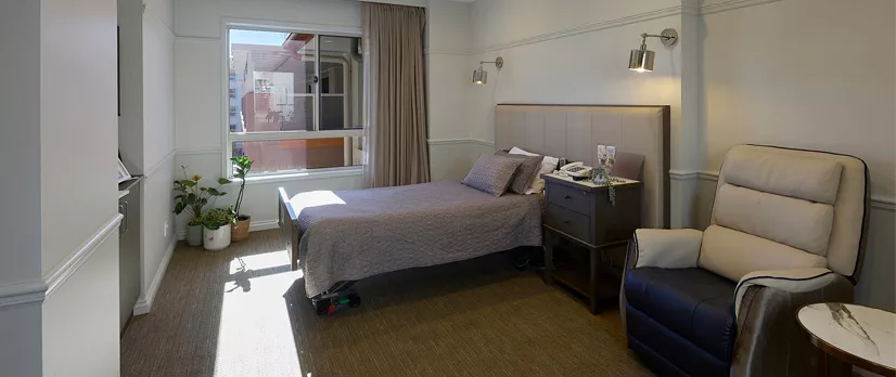 Chiswick Premium Plus 237