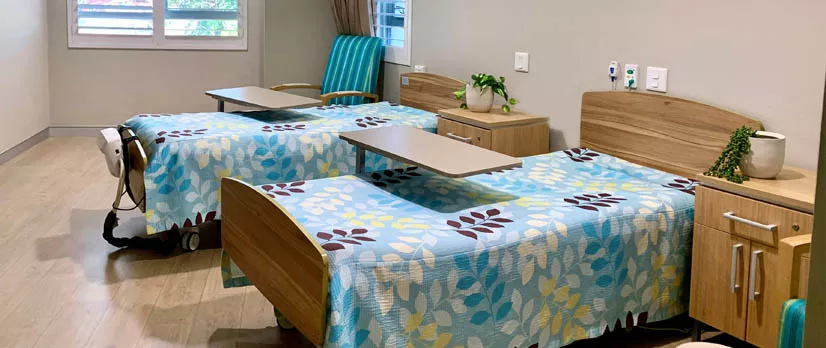 Wahroonga Tallowoods Classic Companion